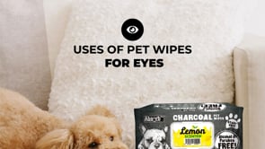 Absorb Plus Charcoal Wet Wipes for Dogs & Cats - Aloe Vera