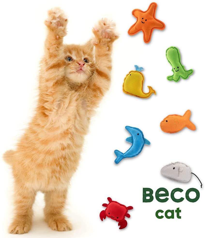 Cat Nip Toy - Starfish | USA Catnip (6632763097249)
