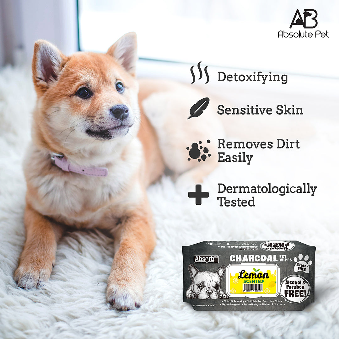 Absorb Plus Charcoal Wet Wipes - Coconut (6968591679649)