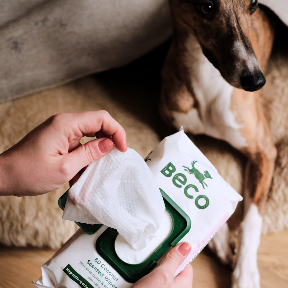 Beco Coconut Scented Wet Wipes for Dogs (7868567224562)