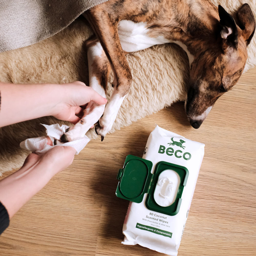Beco Coconut Scented Wet Wipes for Dogs (7868567224562)