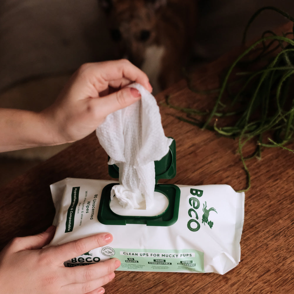 Beco Unscented Wet Wipes for Dogs & Cats (7868566601970)