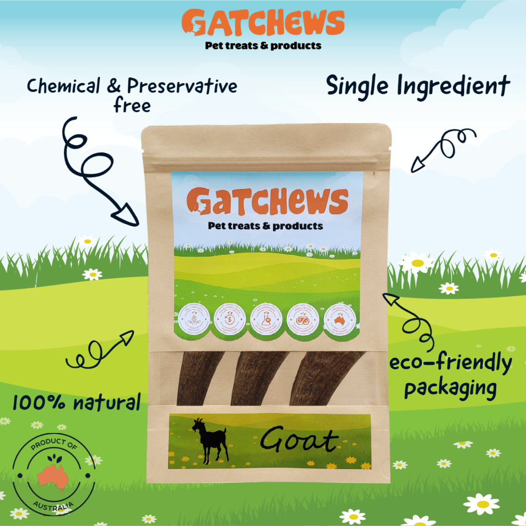 Gatchews Goat Horn - Natural Dog Treats (6663718797473)