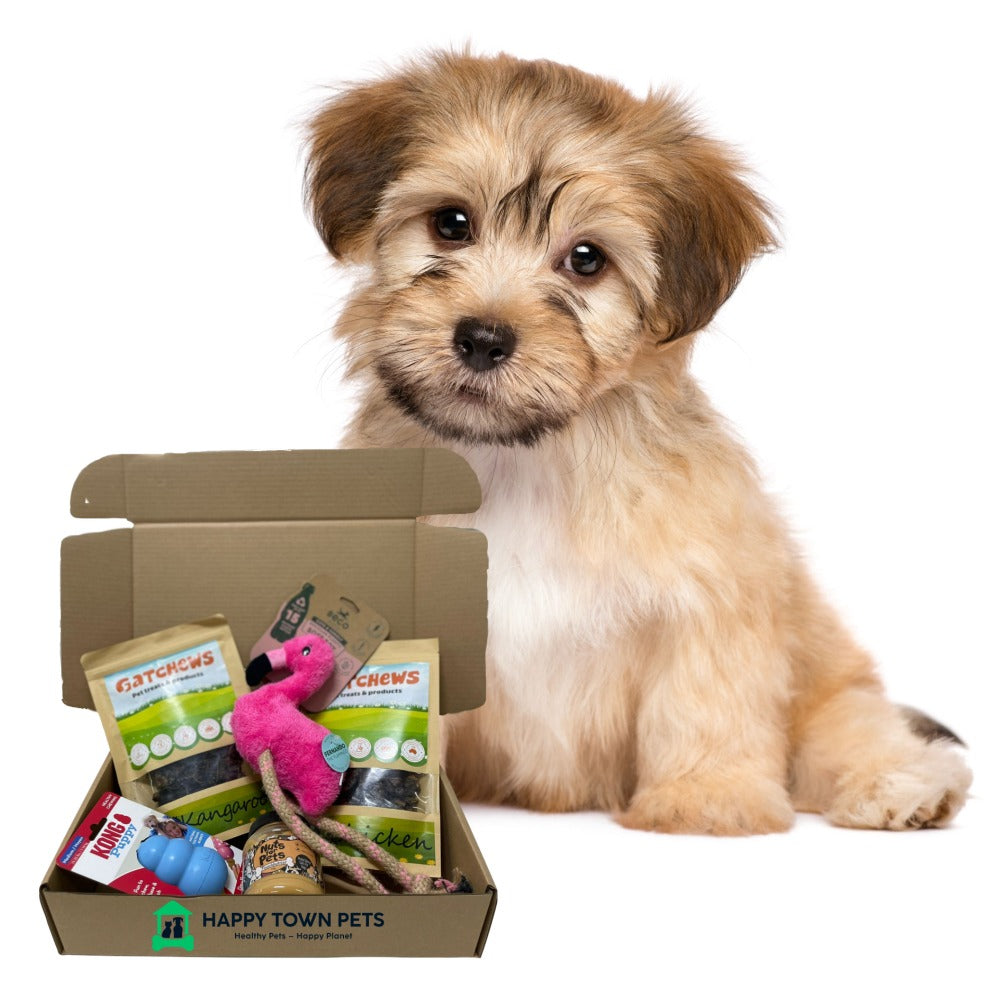 Keep Your Pet Happy with Happy Town Pets' Subscription Plan