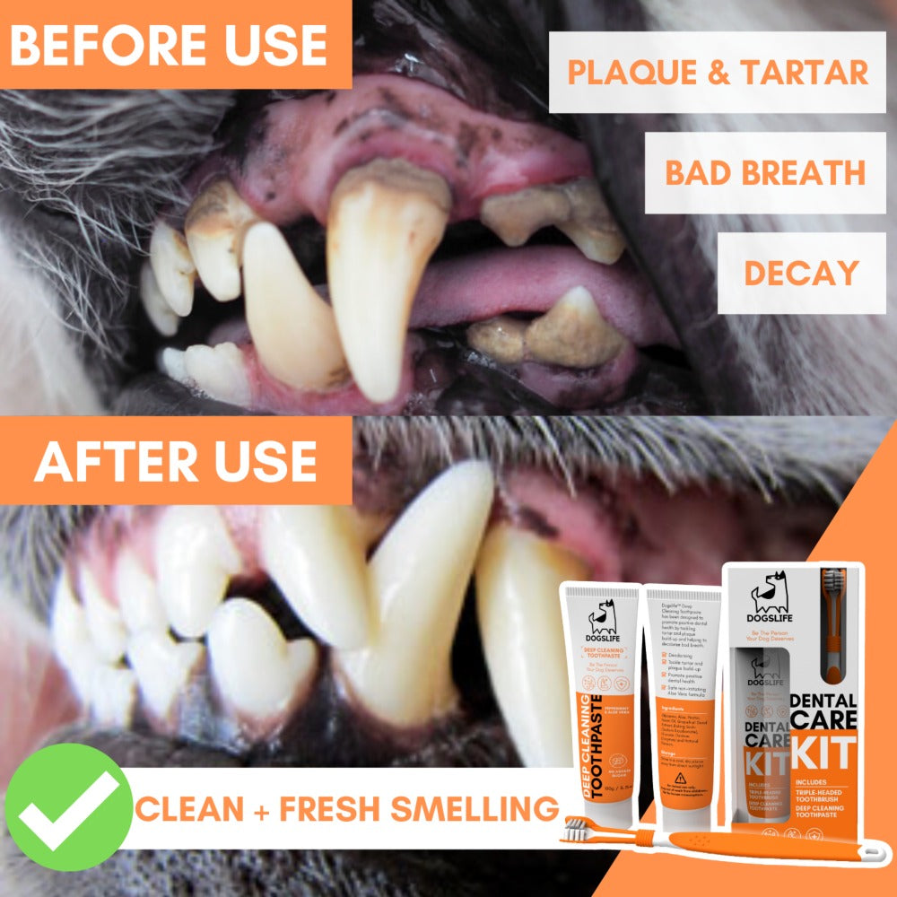 Dogslife Dental Care Kit (7776413155570)