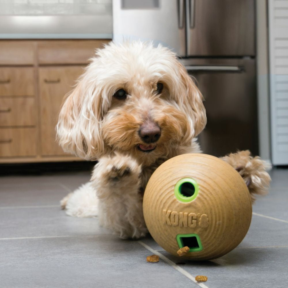 Kong Bamboo Feeder Ball Dog Toy (7653923356914)