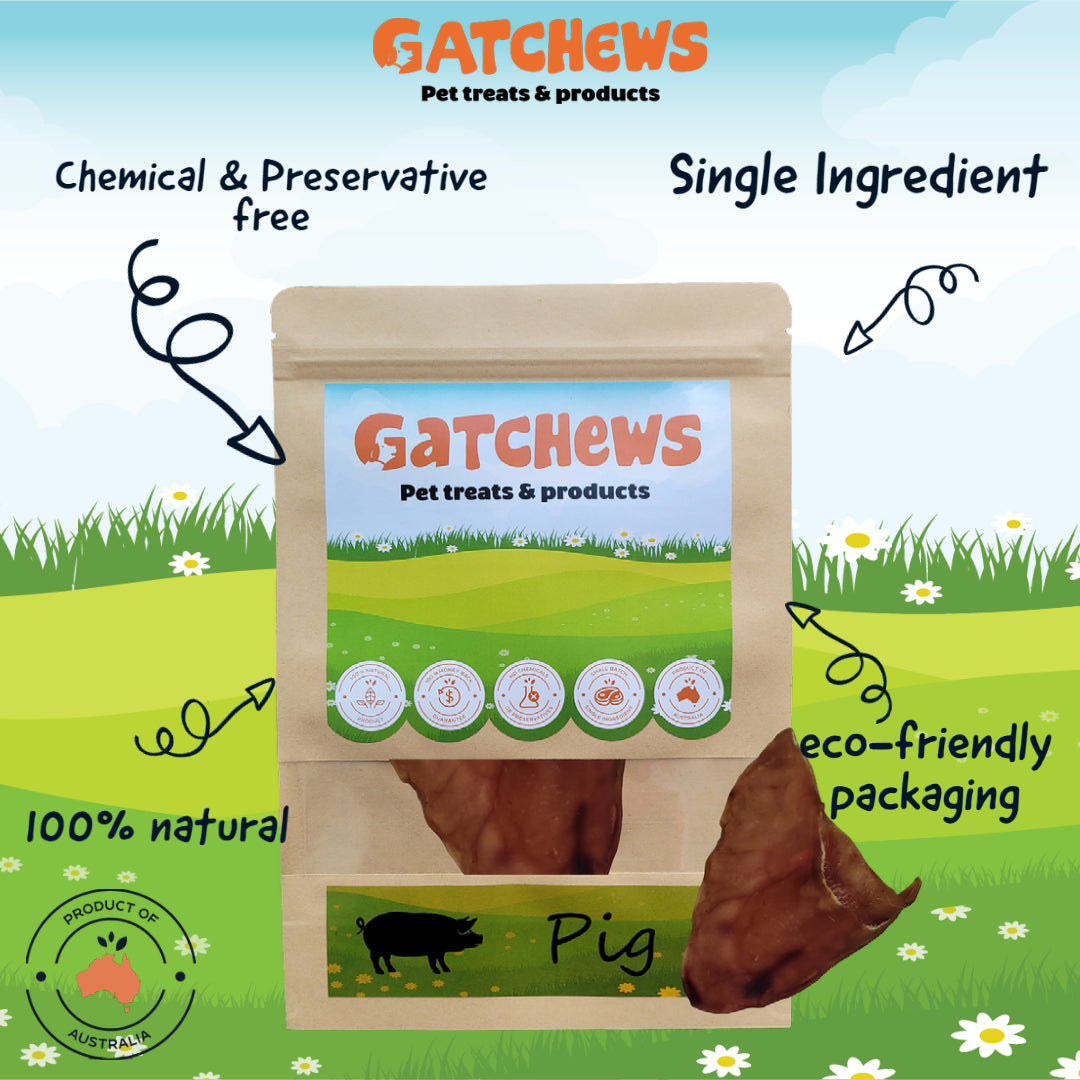 Gatchews Pigs Ears Dog Treats (6072388157601)
