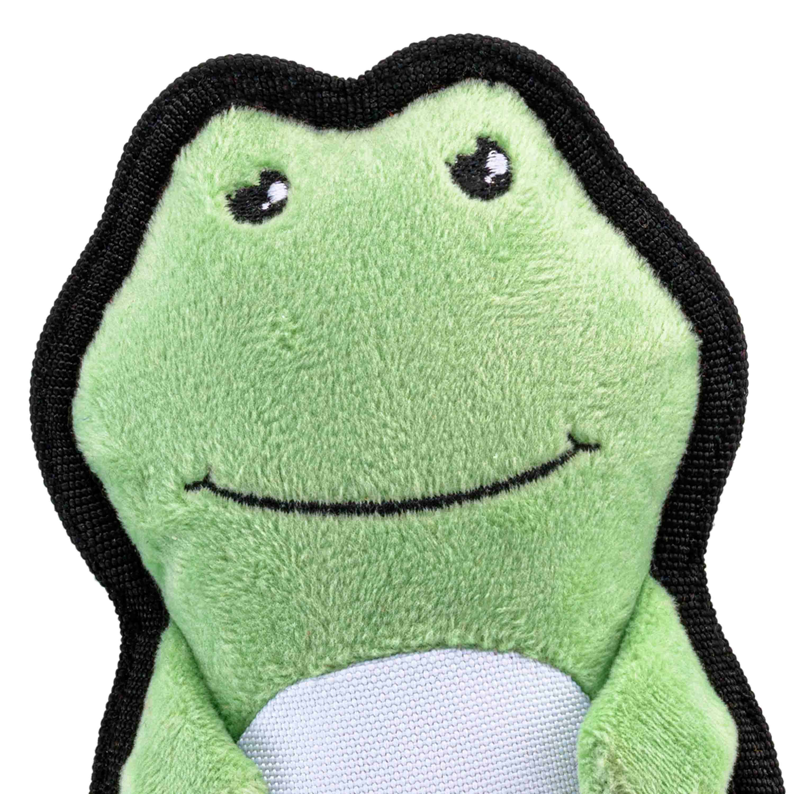 Rough & Tough Recycled Plastic Frog Dog Toy (7868565291250)