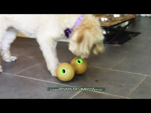 Kong Bamboo Feeder Ball Dog Toy