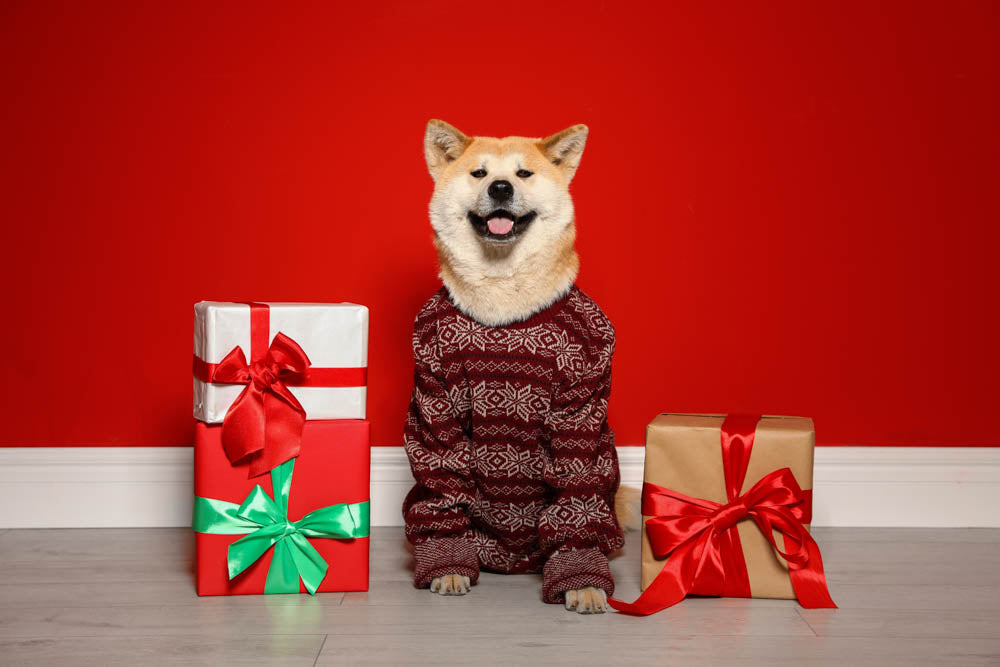 Perfect gifts for Dogs