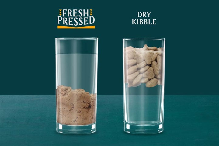 What is Cold Pressed Dog Food?