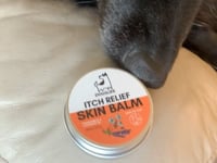 Dogslife Itch Relief Balm
