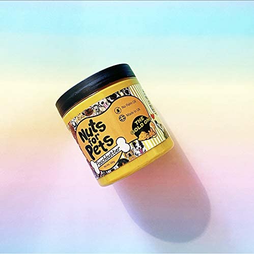 The Gold One | Poochbutter | Peanut Butter for Dogs with Turmeric | 350g (6937216450721)