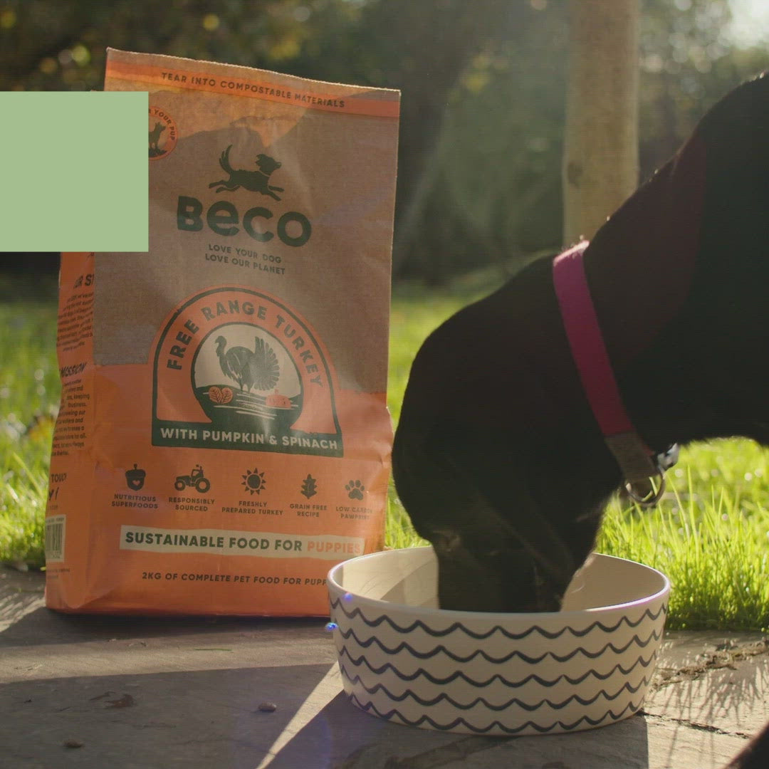 Beco Free Range Turkey with Pumpkin & Spinach Dry Food for Puppies