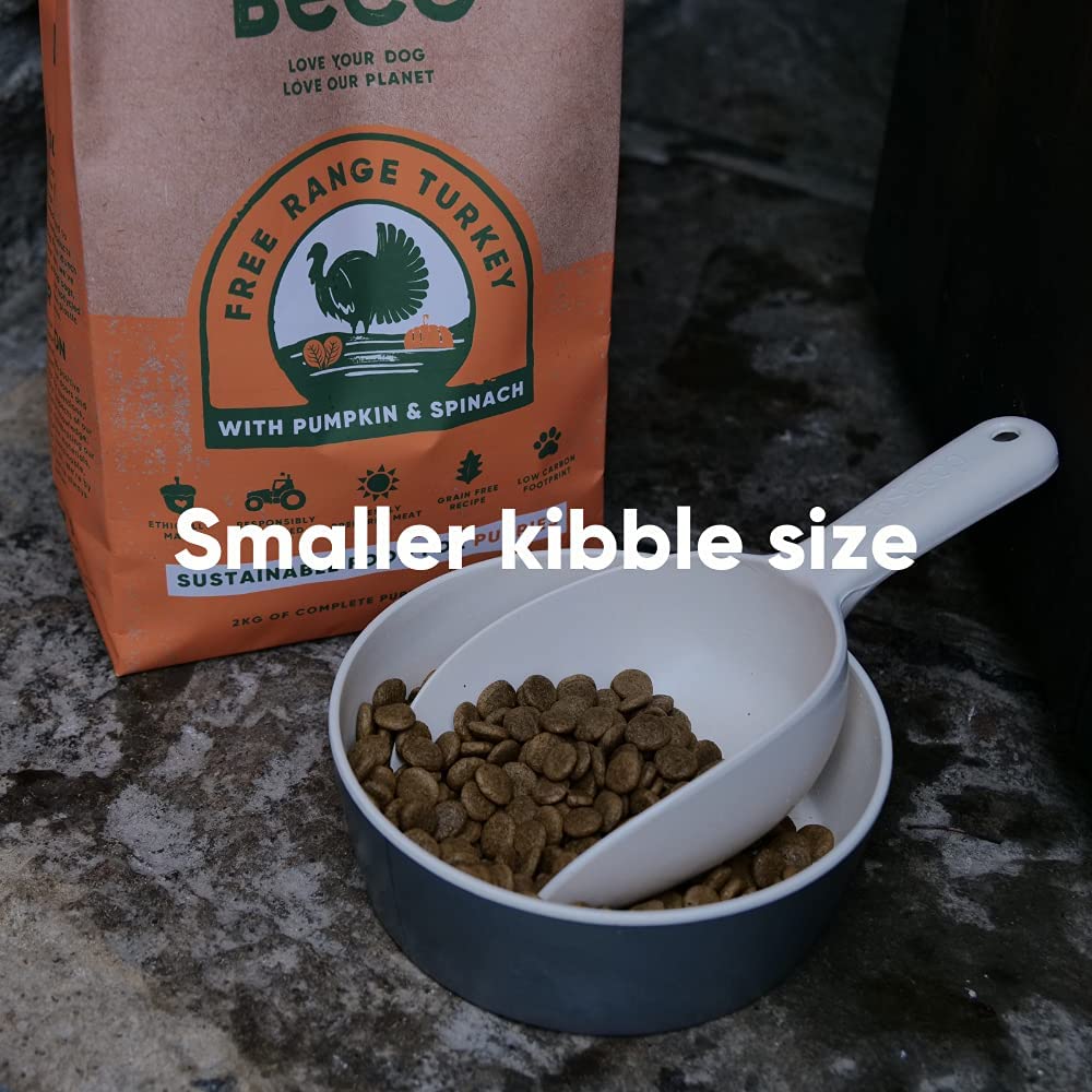 Beco Free Range Turkey with Pumpkin & Spinach Dry Food for Puppies (6636861948065)