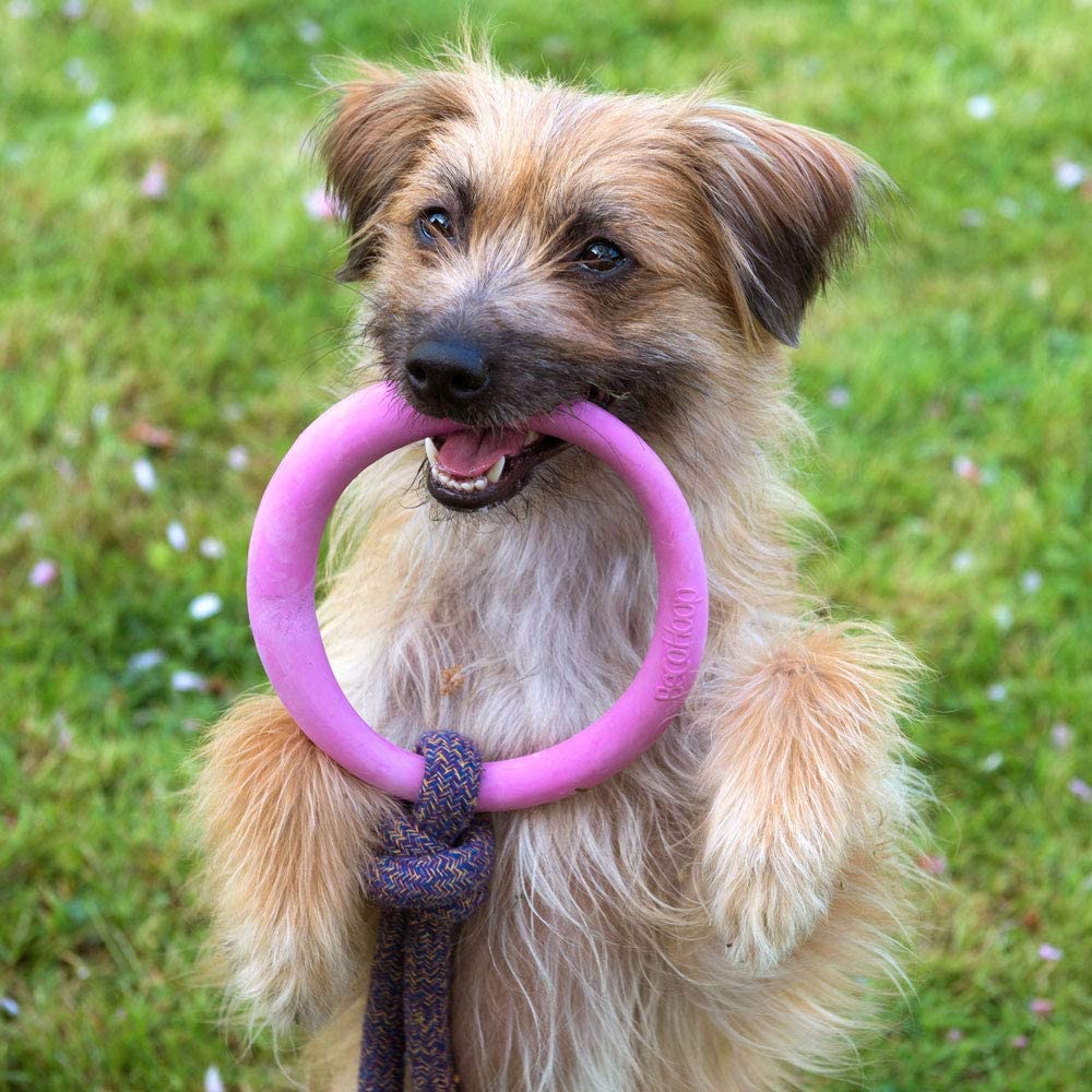 Natural Rubber Hoop on a rope Dog Toy (6631704494241)