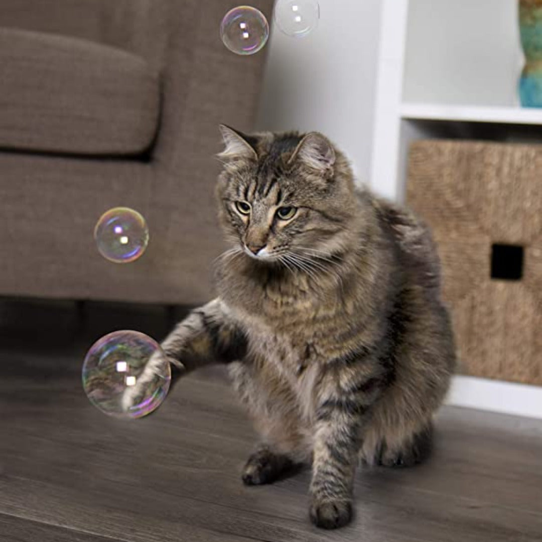 King Catnip Bubbles Cat Nip Toys for Cats (7568669507826)