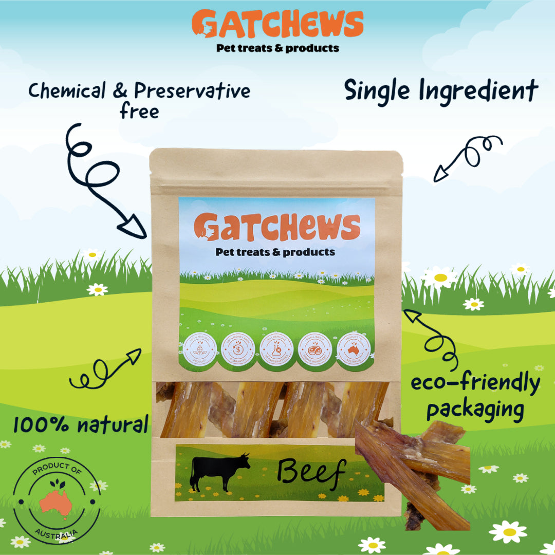 Gatchews Beef Paddywack Tendon Dog Treats 100g (6608041967777)