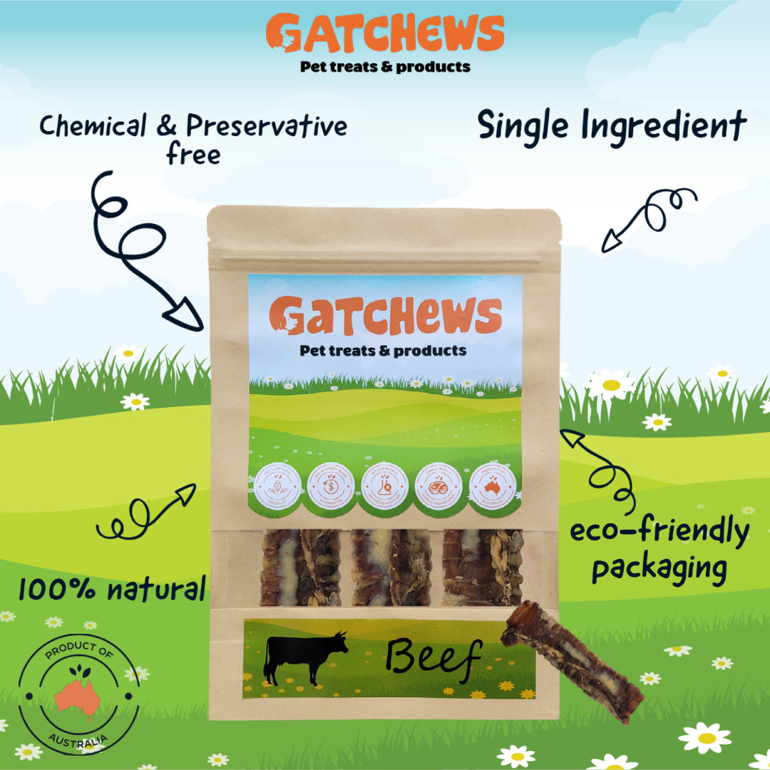 Gatchews Beef Trachea Dog Treats 3 pack (6610021777569)