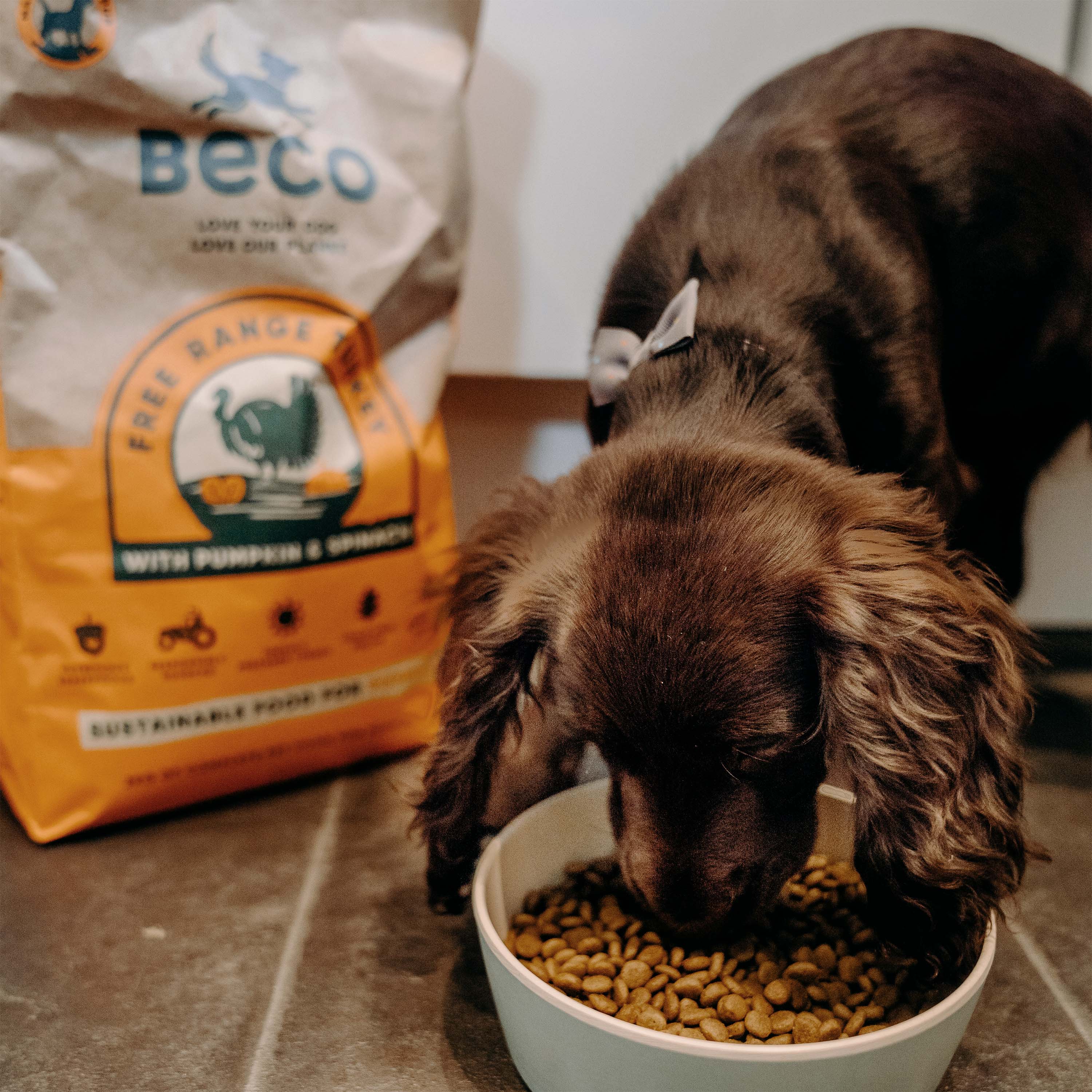 Beco Free Range Turkey with Pumpkin & Spinach Dry Food for Puppies (6636861948065)