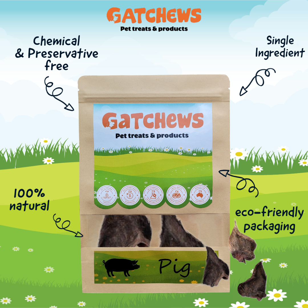 Gatchews Wild Boar Ears Dog Treats (7701749498098)