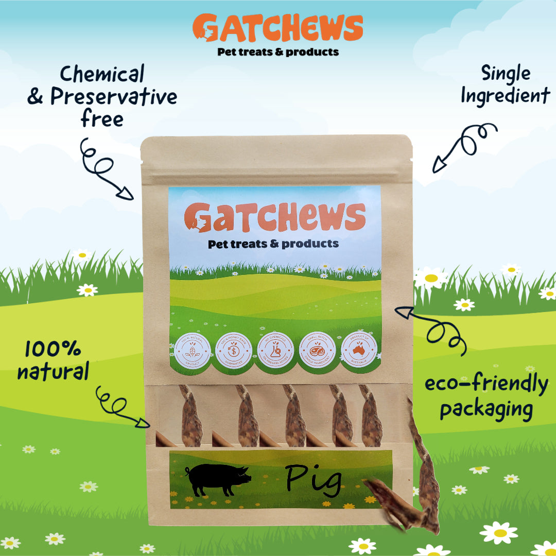 Gatchews Pork Pizzle Dog Treats 100g (7701748908274)