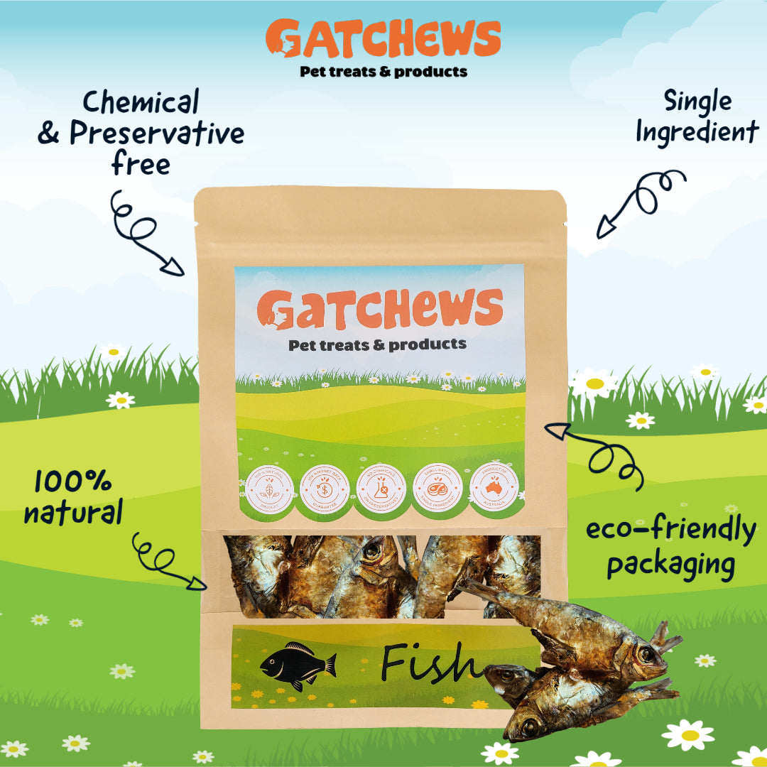 Gatchews Forage Fish Dog & Cat Treats (7841972748530)