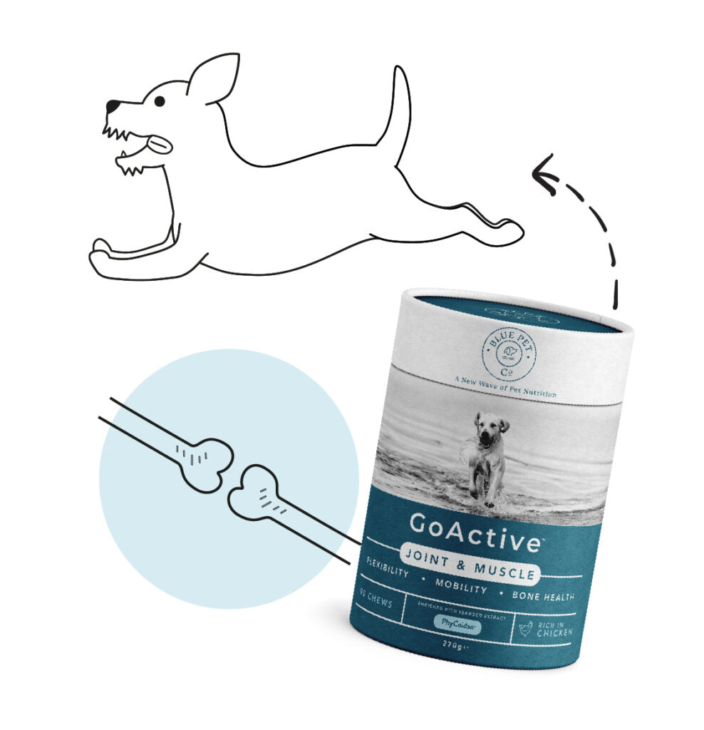 GoActive - Peanut Butter Supplements for Dogs & Cats (7692739182834)