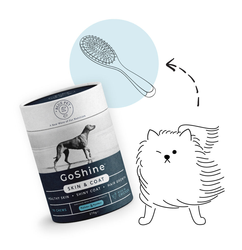 GoShine - Supplements for Dogs (7692779946226)