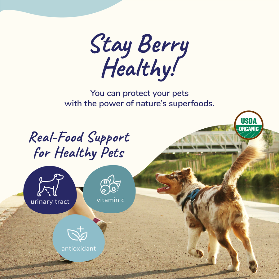Healthy Immunity Supplement for Dogs & Cats (6855621083297)