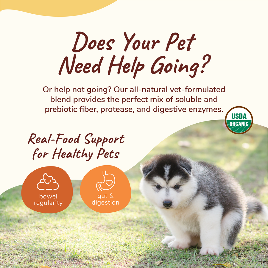 Healthy Poops Supplement for Dogs & Cats (6855624917153)