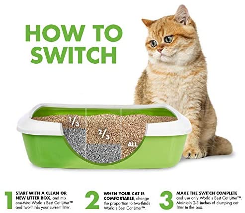 World's Best Cat Litter - Low Tracking & Dust Control (7630937129202)