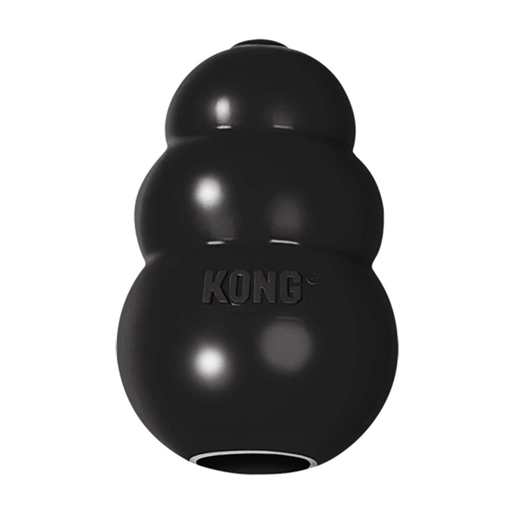 Kong Extreme dog toy (7002846691489)