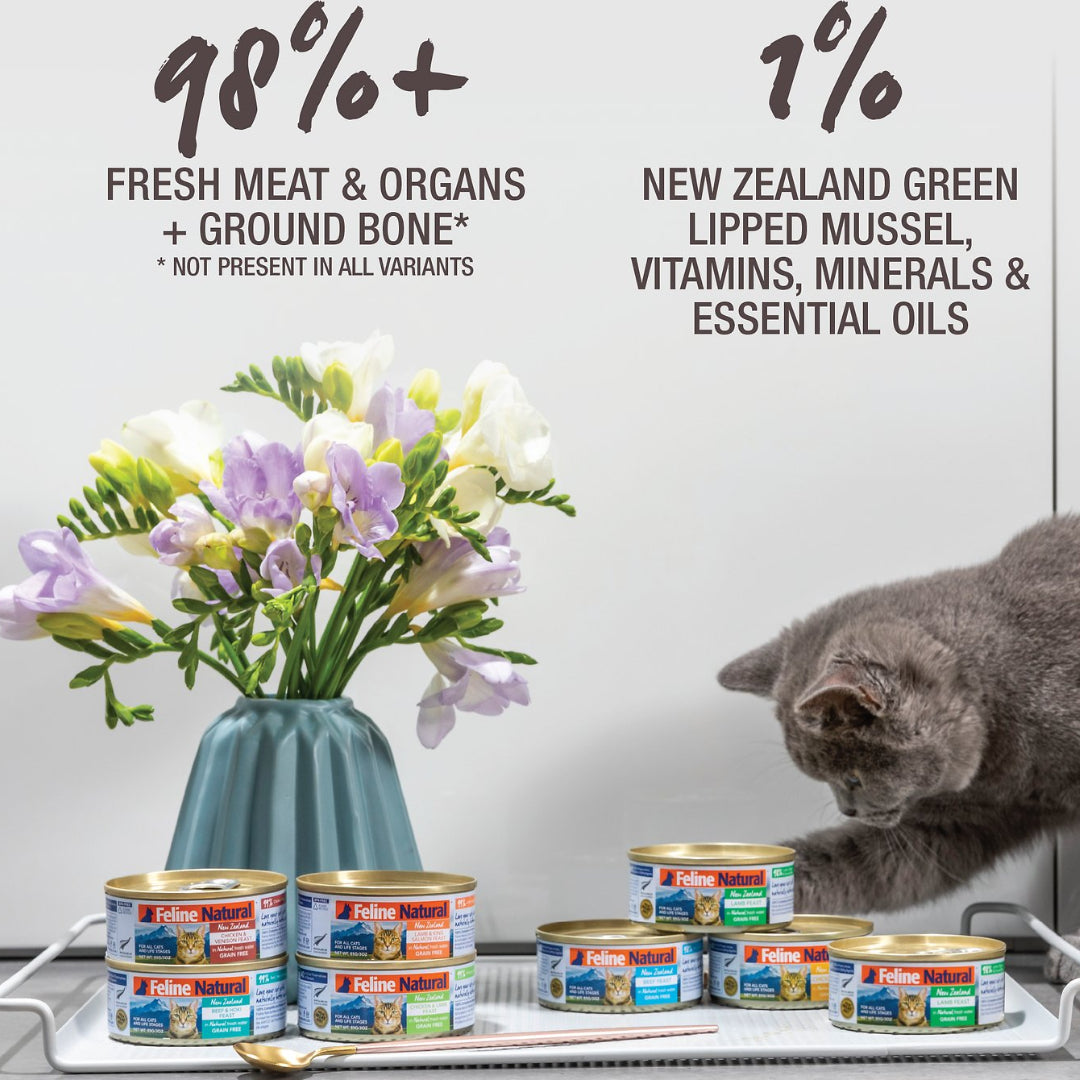 Feline Natural Canned Beef & Hoki for Cats | 2 sizes (6887577714849)
