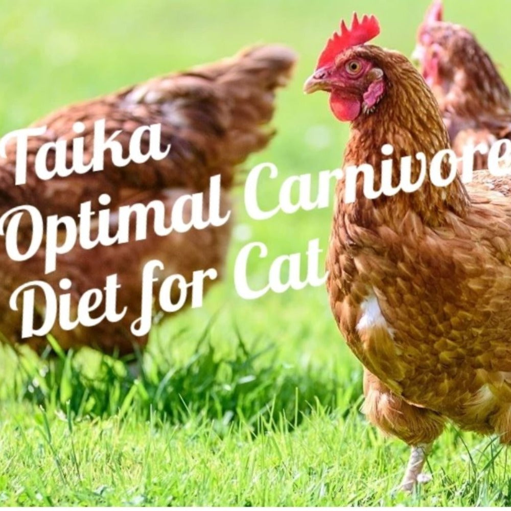 Taika Farmyard Chicken Dry Cat Food - Healthy Bones | 1.6kg (6927825240225)