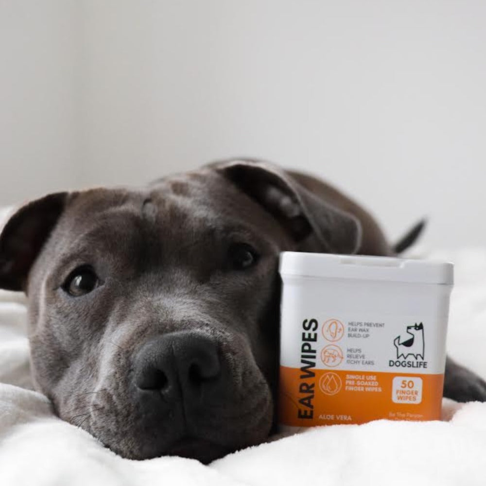 Dogslife Ear Cleaning Wipes (7776285098226)