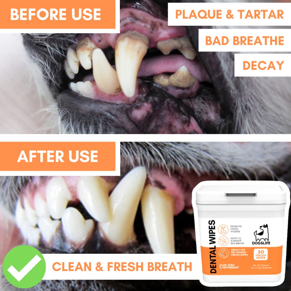 Dogslife Dental Cleaning Wipes (7776399720690)