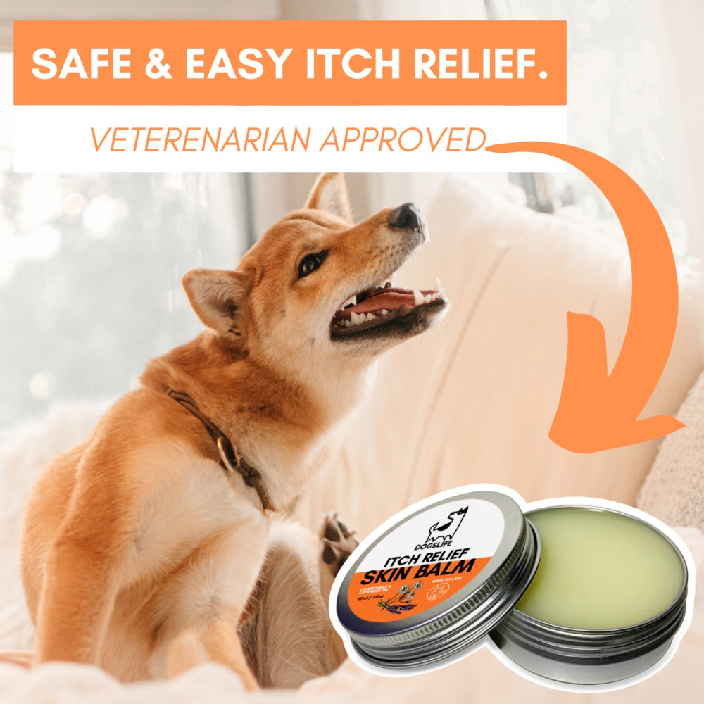 Dogslife Itch Relief Balm (7776426885362)