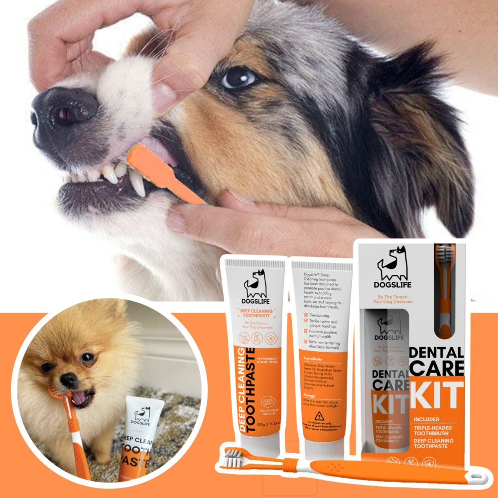 Dogslife Dental Care Kit (7776413155570)