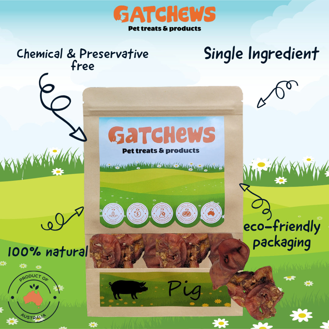 Gatchews Pork Snouts Dog Treats 100g (6610108022945)