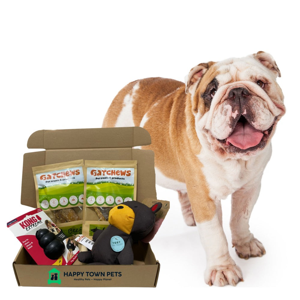 Happy Town Pets Subscription box - chew (7617418625266)
