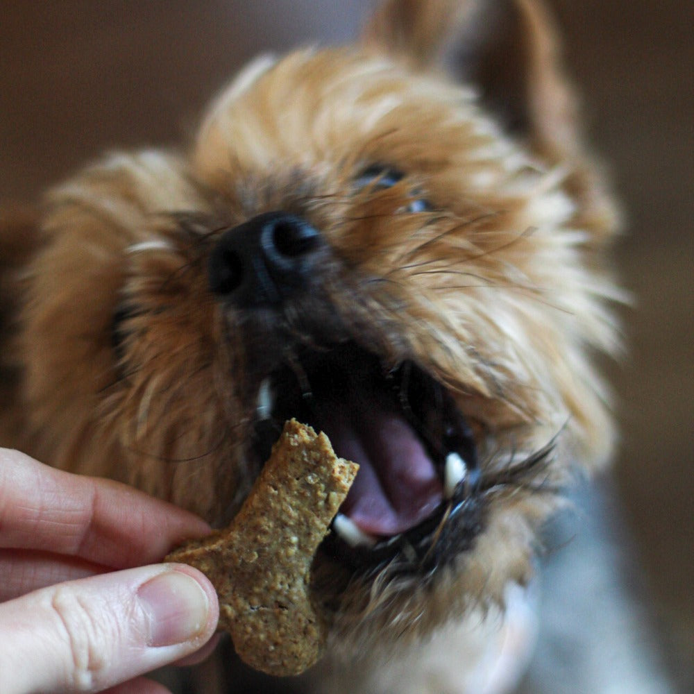 Nuts for Pets Peanut Butter Dog Biscuits & Treats (7843265904882)