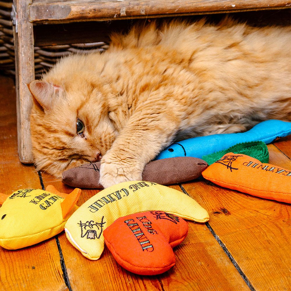 King Catnip Carrot Cat Nip toy for Cats (7568587161842)