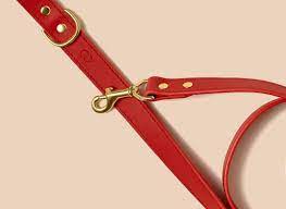 Signature Leather Dog Leash - Crimson (6776140169377)