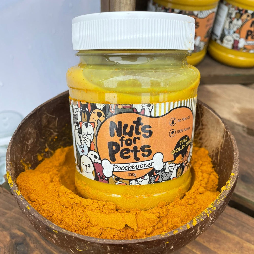 The Gold One | Poochbutter | Peanut Butter for Dogs with Turmeric (6937216450721)
