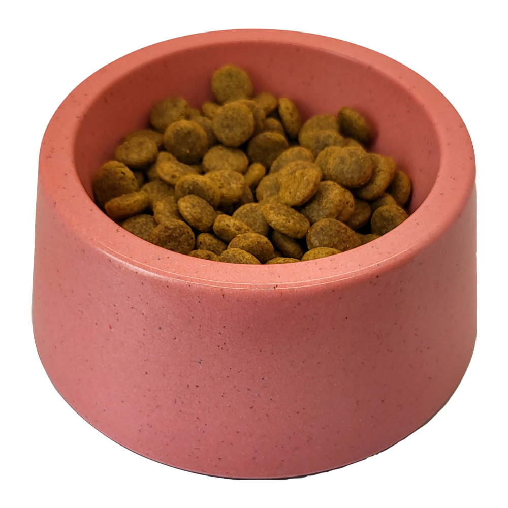 Coloured Bamboo Pet Bowl (7599002484978)